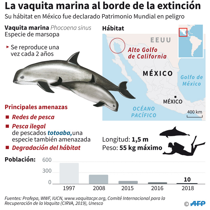 Hábitat de la vaquita marina en México, declarado Patrimonio Mundial en