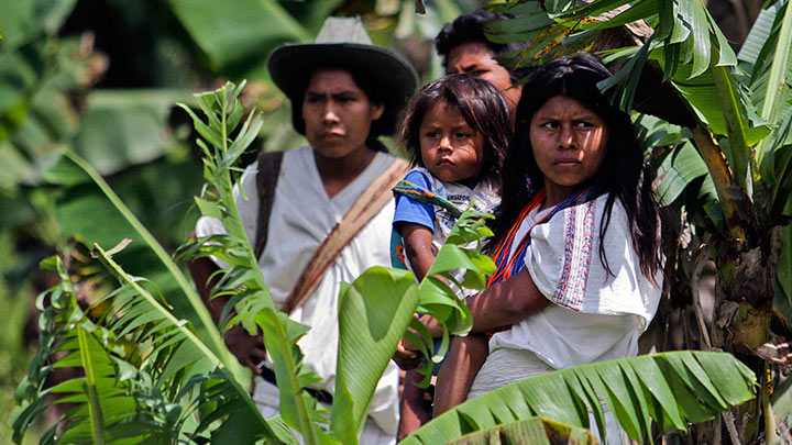 21 de febrero: Día de la lengua materna y las lenguas nativas en Colombia