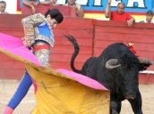 Las corridas de toros según la ley que aprobó el Gobierno nacional dejarán de existir.