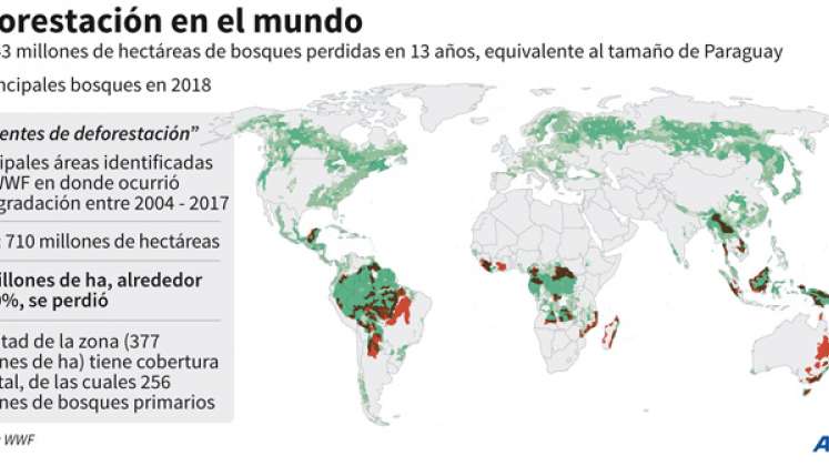 La deforestación en el mundo. / Gráfico: AFP