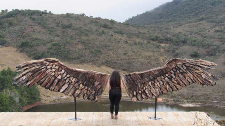 Las alas miden cinco metros de largo.