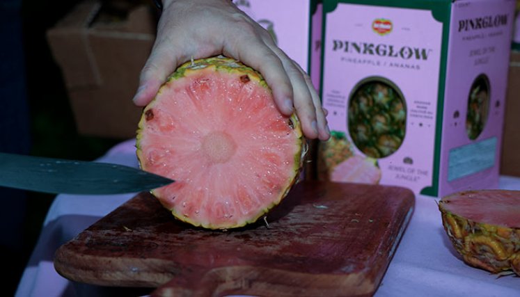 La piña rosa, un manjar exclusivo de Costa Rica para el mundo