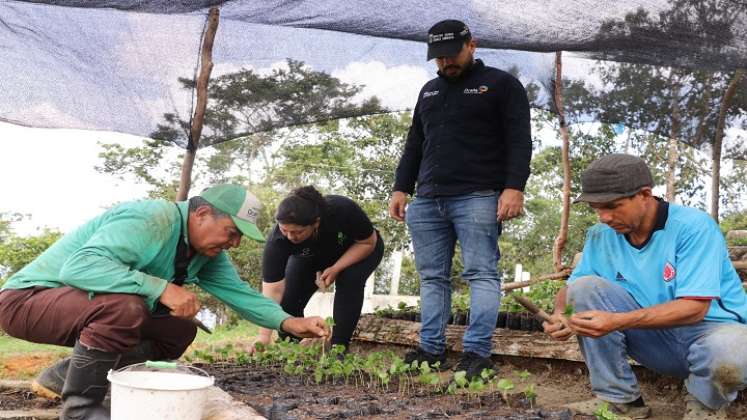 En el vivero El Edén del corregimiento de Buenavista de Ocaña germina el proyecto para la conservación de la biodiversidad del Catatumbo.