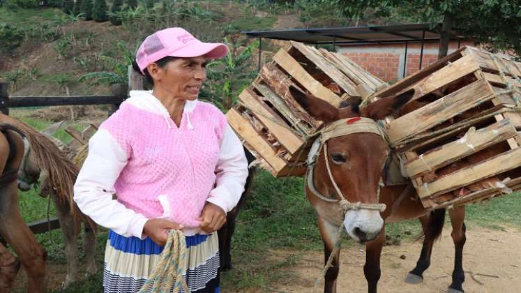 El Poder rosa se toma el sector rural de Ocaña con proyectos productivos./ Foto: Cortesía.