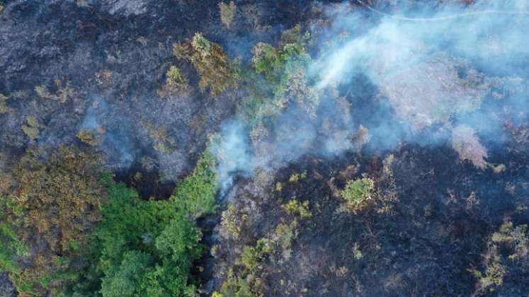 Un incendio forestal arrasó con abundante capa vegetal en zona de frontera entre Ocaña y La Playa de Belén./ Cortesía