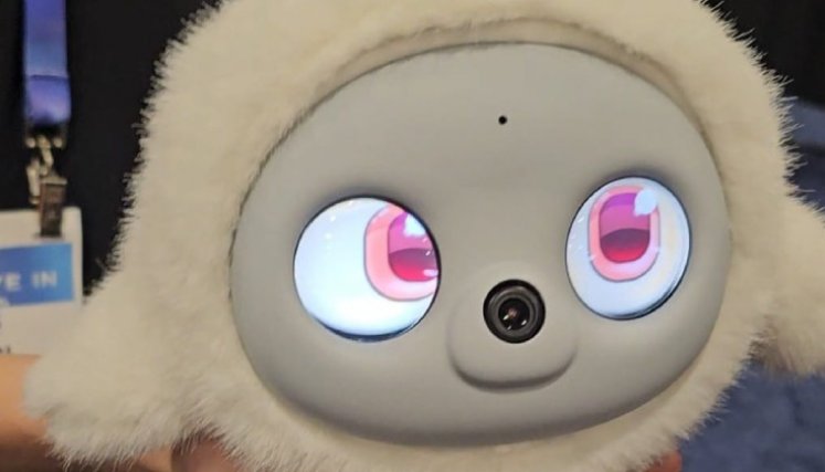 Foto: Colprensa Mascotas robot