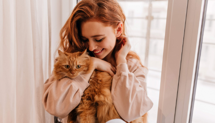 Día del gato Día del gato