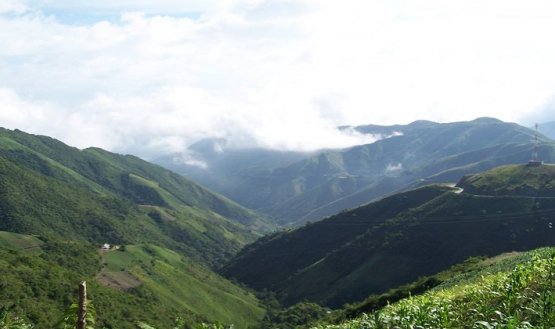 En Norte de Santander se concentra el 18% del total de los cultivos ilícitos en Colombia.