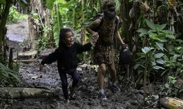 Panamá descarta regularizar ruta selvática hacia EE. UU. en medio de récord de migrantes./Foto: AFP
