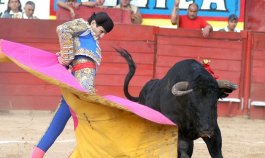 Las corridas de toros según la ley que aprobó el Gobierno nacional dejarán de existir.