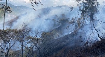 Encendidas se encuentran las alarmas por incendios forestales debido al fenómeno de El Niño./ Fotos: Cortesía