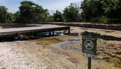 El lago artificial permanece constantemente cubierto de ‘lama’. Las comunidades piden un mejor cuidado